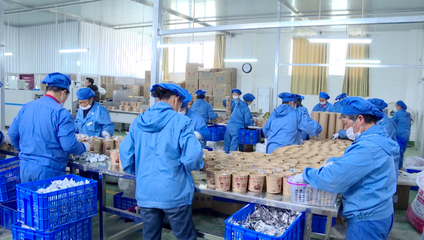 红安 党建领航，跑出乡村振兴“加速度” —— 探索食品互联网销售新路径