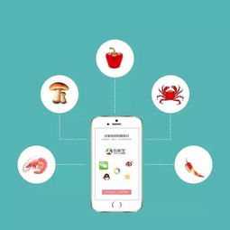 食品互联网销售 为传统行业转型插上翅膀