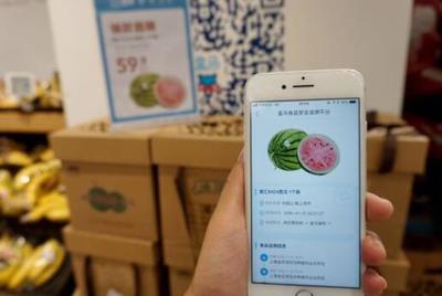 上海“订单式农业”引领食品安全新风尚，上游农户增收与互联网销售双赢