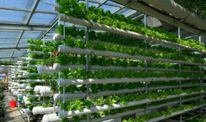 数字化与智能化 未来农业与食品互联网销售的双轮驱动